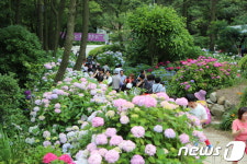 부산의 국가지질공원 태종대 해안 절경, 밤에도 감상한다