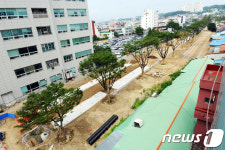 강릉시내 조성 중인 월화거리