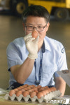 이것이 태국산 달걀