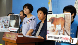 열악하게 방치된 개식용 농장의 실상