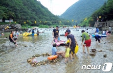 “여름휴가는 옥천 ‘장령산 자연휴양림’ 오세요”