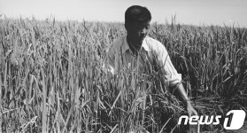‘자이언트 집단농장’ 농업연구원 수로 점검