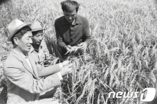 베가와트 집단농장 수확