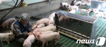 거창 동물복지 돼지축사