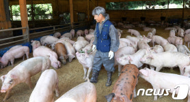 동물복지가 중요합니다