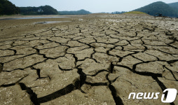 극심한 가뭄에 갈라진 덕우저수지 바닥