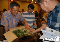 양구 시래기 질기지 않습니다