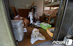 30여마리 유기된 고양이 돌보는 김연옥씨