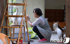 후쿠시마에 버려진 고양이 돌보는 김연옥씨
