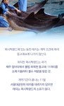 [펫카드] 사람들에게 기쁨 주던 돌고래 태지의 눈물