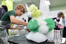 애견미용의 신세계