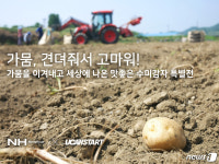 농협, 가뭄 피해 농산물 크라우드펀딩으로 판매