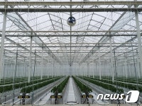 부여군, 스마트 원예단지 공모사업 최종 선정