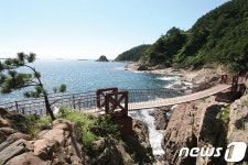 바다 위를 걷고, 날아보세요…최초 공설해수욕장 송도