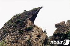 네이버 검색 결과 사진 1