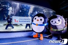 한화 아쿠아플라넷63, 리뉴얼 1주년 기념