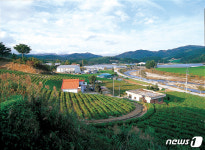 평창군, 의야지 바람 정보화마을 신바람 프로젝트 추진