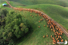 [휴&후-맛있는 휴가](상) 간고등어·민어·흑마늘 정식…입이 즐겁다