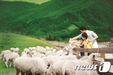 [휴&후-맛있는 휴가](하) 물회·어죽·재첩국…가는 곳마다 군침
