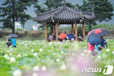 시원한 정자 밑에서 비도 피하고