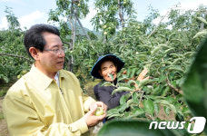 문경 우박 피해 농가 찾은 김영록 장관