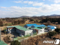 제주동물보호센터 새 단장 추진…동물병원도 개설