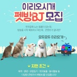 반려동물과 함께 방송하러 가요