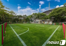 서울월드컵경기장, 천연잔디 다목적 구장 조성
