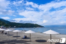 Naver search result photo 1