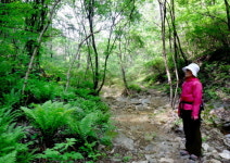 암스트롱요양병원 제8회 MBN 암&건강박람회 참가, 탤런트 조은숙 초청행사 가져