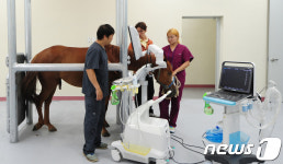 말의 고장 제주에 개원한 말 전문 병원