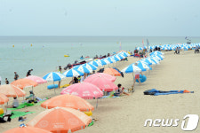경포를 찾은 피서객들