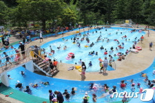 청정 계곡수 사용 단양 천동물놀이장 20일 개장