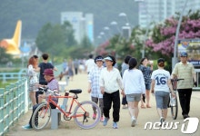 폭염 건강관리 주의 제주 온열질환자 14명