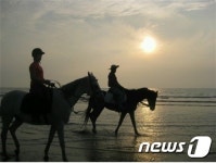 고창군, 말 산업 육성사업에 선정…승마관광 추진