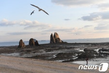 Naver 搜索结果照片 3