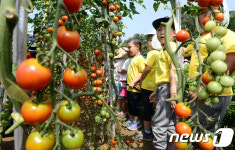 서초구 자연학습장 채소 수확 체험행사