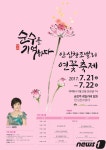 대구 동구 안심창조밸리 연꽃축제 21일 개막