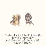 [뚱아저씨의 동행] 여름휴가철 박스에 담겨 버려진 닥스훈트들