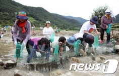 다슬기 잡아보세요…29~30일 섬진강 다슬기 축제