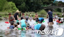 다슬기 잡아보세요…29~30일 섬진강 다슬기 축제