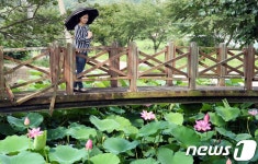 강진 용정마을 홍련의 유혹