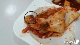 선진테크윈 구내식당 | 창원 한화테크윈 구내식당서 이번엔 '애벌레김치'