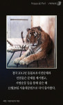 [펫카드] 동물원 동물들 고통 대변한 호랑이 크레인
