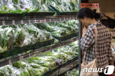 뭘 골라도 비싸네