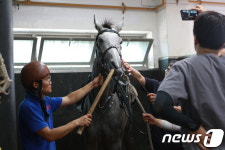 마사회 부산경남 동물병원, 경주마 의료복지 앞장