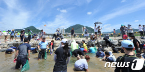 동강 뗏목축제 송어를 잡아라