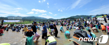 영월 동강 뗏목축제, 맨손 송어 잡기 체험