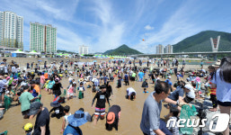 영월 동강 뗏목축제 맨손 송어 잡이 인기