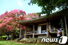명옥헌에 핀 붉은 백일홍